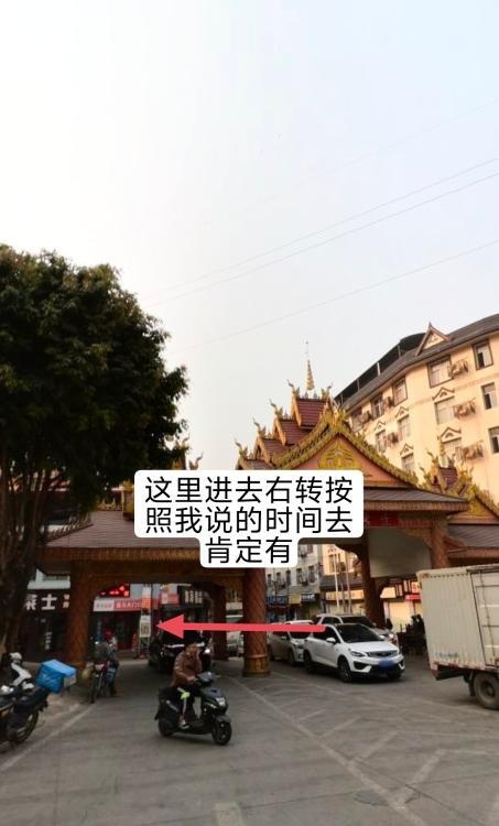 西双版纳村里