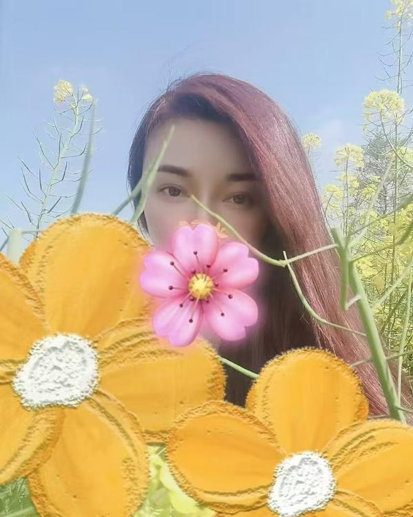 图片1
